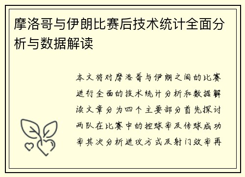 摩洛哥与伊朗比赛后技术统计全面分析与数据解读