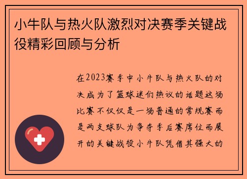 小牛队与热火队激烈对决赛季关键战役精彩回顾与分析