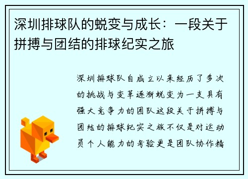 深圳排球队的蜕变与成长：一段关于拼搏与团结的排球纪实之旅