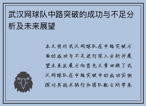 武汉网球队中路突破的成功与不足分析及未来展望